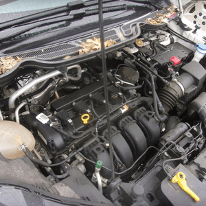 2021 Ford Ecosport Used Engine