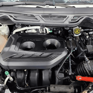 2019 Ford Ecosport Used Engine