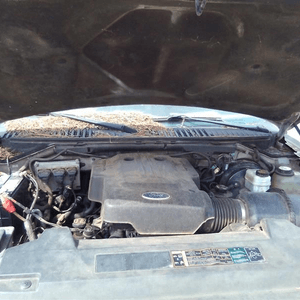2004 Ford EXPEDITION Used Engine