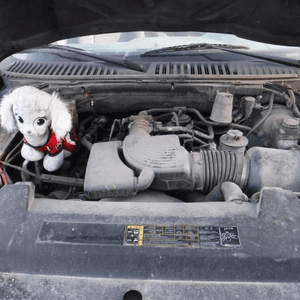 2004 Ford EXPEDITION Used Engine