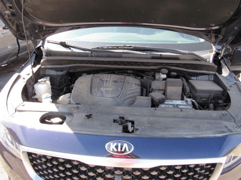 2018 Kia SEDONA Used Engine